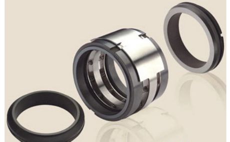 Double seal configuration for hazardous, toxic or high-pressure media.