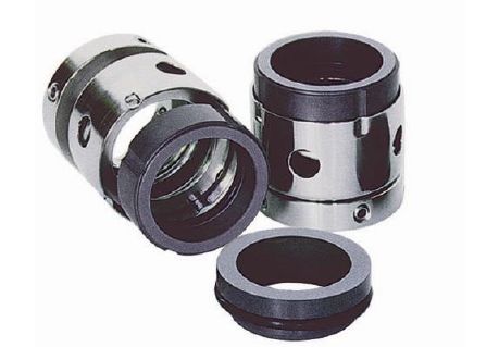 Component mechanical seal.